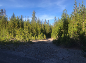 Mount Thielsen Wilderness