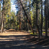 Review photo of Mount Thielsen Wilderness by Crystal C., March 9, 2020