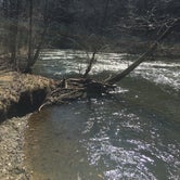 Review photo of Mohican State Park Campground by Renée C., March 9, 2020