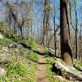 Review photo of Monte Sano State Park Campground by Cassandra C., September 2, 2017
