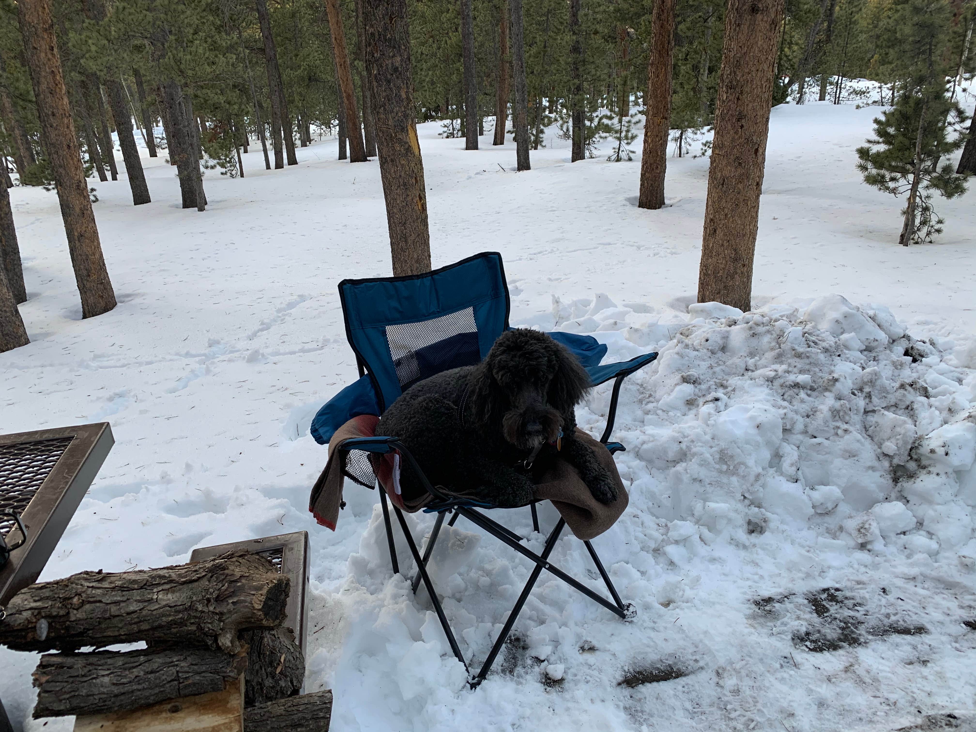 Kell H.'s photo at Reverend's Ridge Campground — Golden Gate Canyon near Arvada, CO