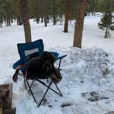 Review photo of Reverend's Ridge Campground — Golden Gate Canyon by Kell H., March 9, 2020