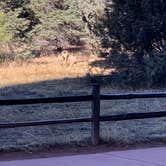 Review photo of Garden of the Gods RV Resort by Chris H., March 9, 2020