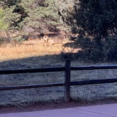 Review photo of Garden of the Gods RV Resort by Chris H., March 9, 2020