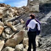 Review photo of Bisti / De-Na-Zin Wilderness Area by Hayley K., March 10, 2020