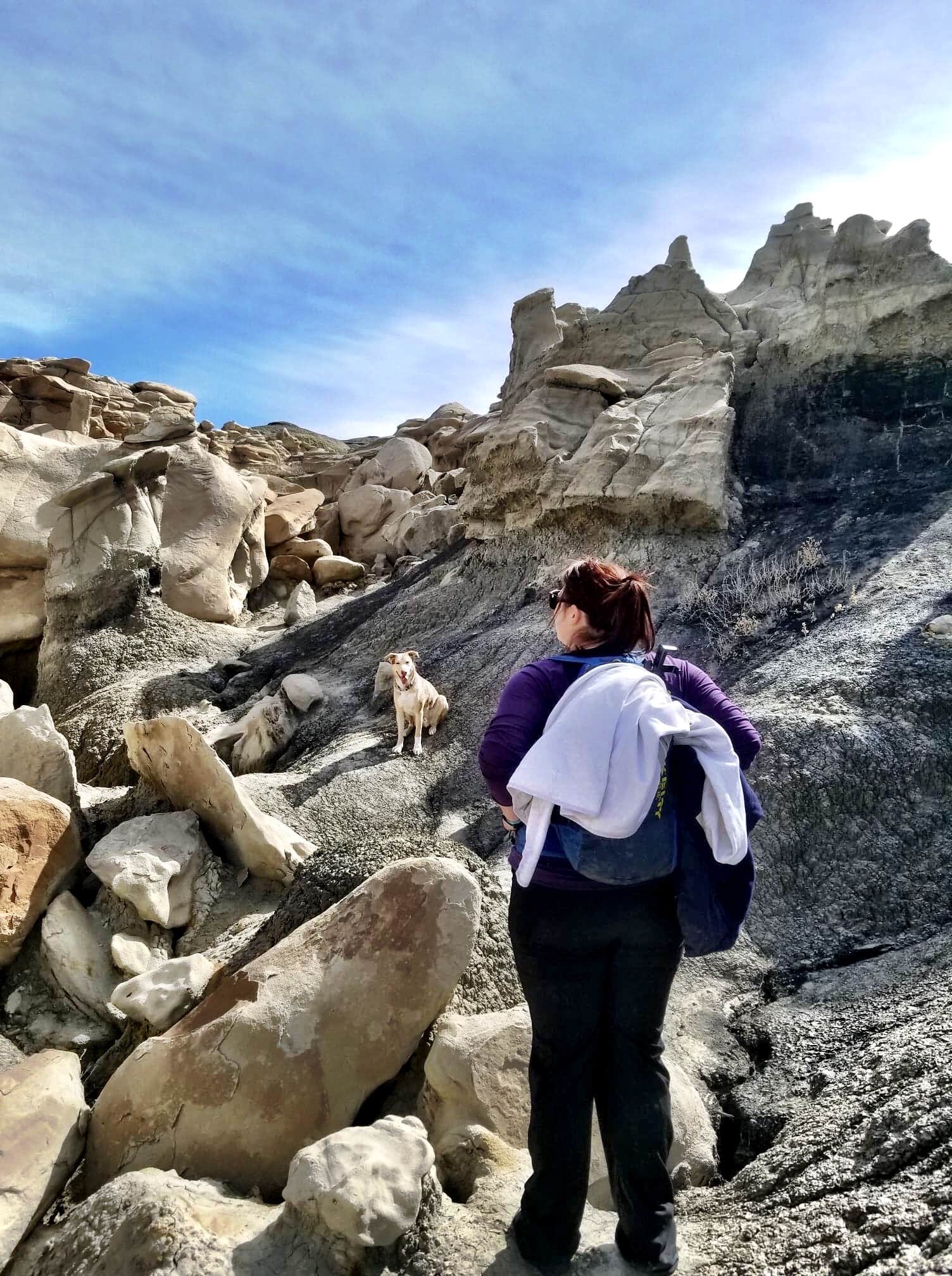 Camper submitted image from Bisti / De-Na-Zin Wilderness Area - 5