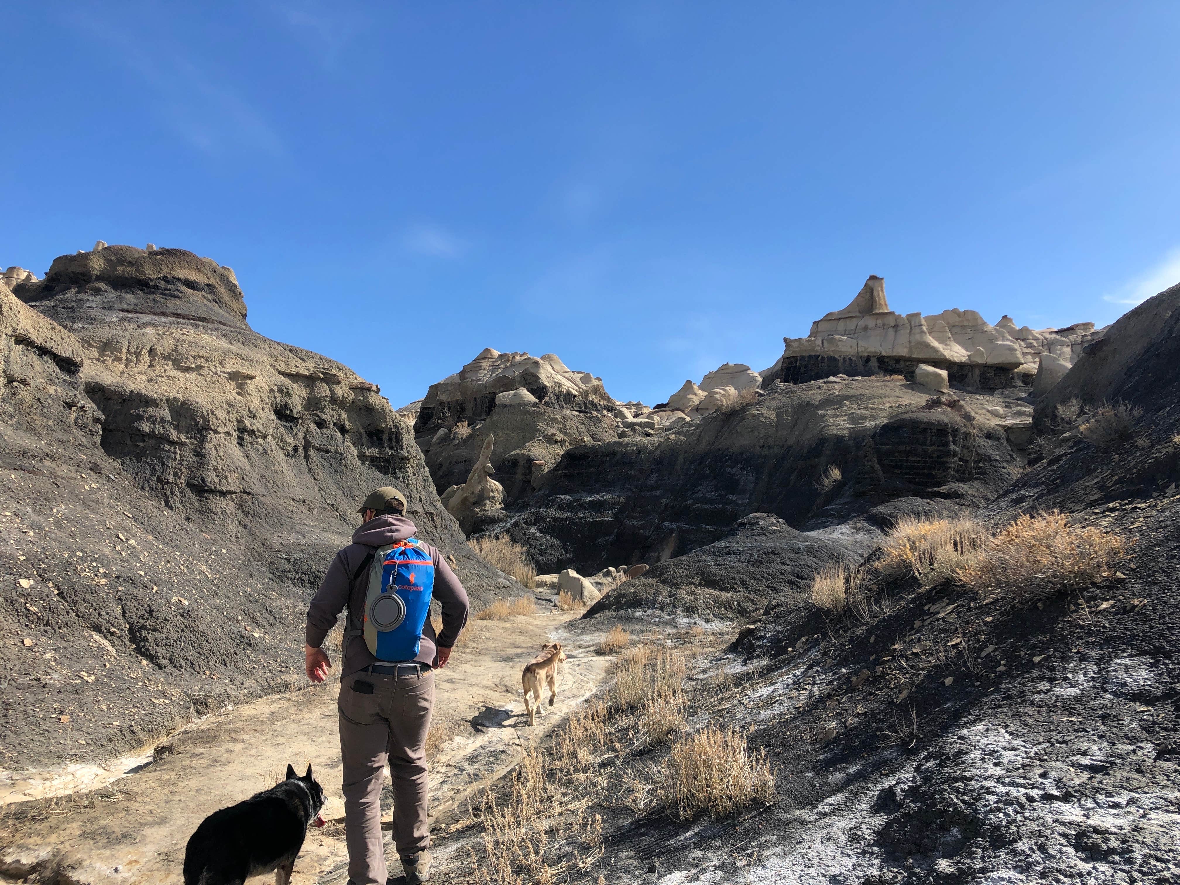Hayley K.'s photo of camping with pets at Bisti / De-Na-Zin Wilderness Area near Aztec, NM