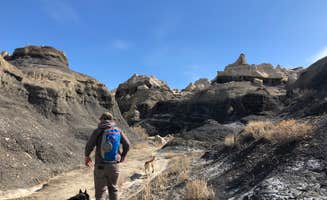 Hayley K.'s photo of camping with pets at Bisti / De-Na-Zin Wilderness Area near Nageezi, NM