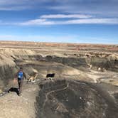 Review photo of Bisti / De-Na-Zin Wilderness Area by Hayley K., March 10, 2020