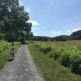 Review photo of Andy Guest/Shenandoah River State Park Campground by Renée C., March 9, 2020