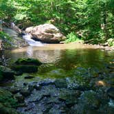 Review photo of Andy Guest/Shenandoah River State Park Campground by Renée C., March 9, 2020