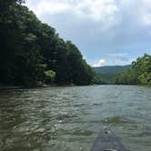 Review photo of Andy Guest/Shenandoah River State Park Campground by Renée C., March 9, 2020