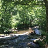 Review photo of Shenandoah National Park Dispersed Sites — Shenandoah National Park by Renée C., March 10, 2020