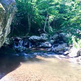 Review photo of Shenandoah National Park Dispersed Sites — Shenandoah National Park by Renée C., March 10, 2020