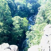 Review photo of Shenandoah National Park Dispersed Sites — Shenandoah National Park by Renée C., March 10, 2020