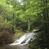 Review photo of Shenandoah National Park Dispersed Sites — Shenandoah National Park by Renée C., March 10, 2020