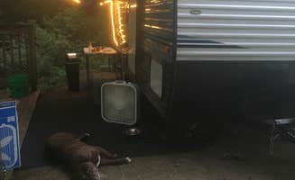 Renée C.'s photo of rv camping at Paint Creek State Park Campground near Paint Creek Lake