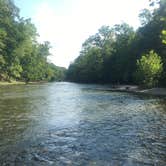 Review photo of Paint Creek State Park Campground by Renée C., March 10, 2020