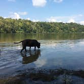 Review photo of Salt Fork State Park Campground by Renée C., March 10, 2020