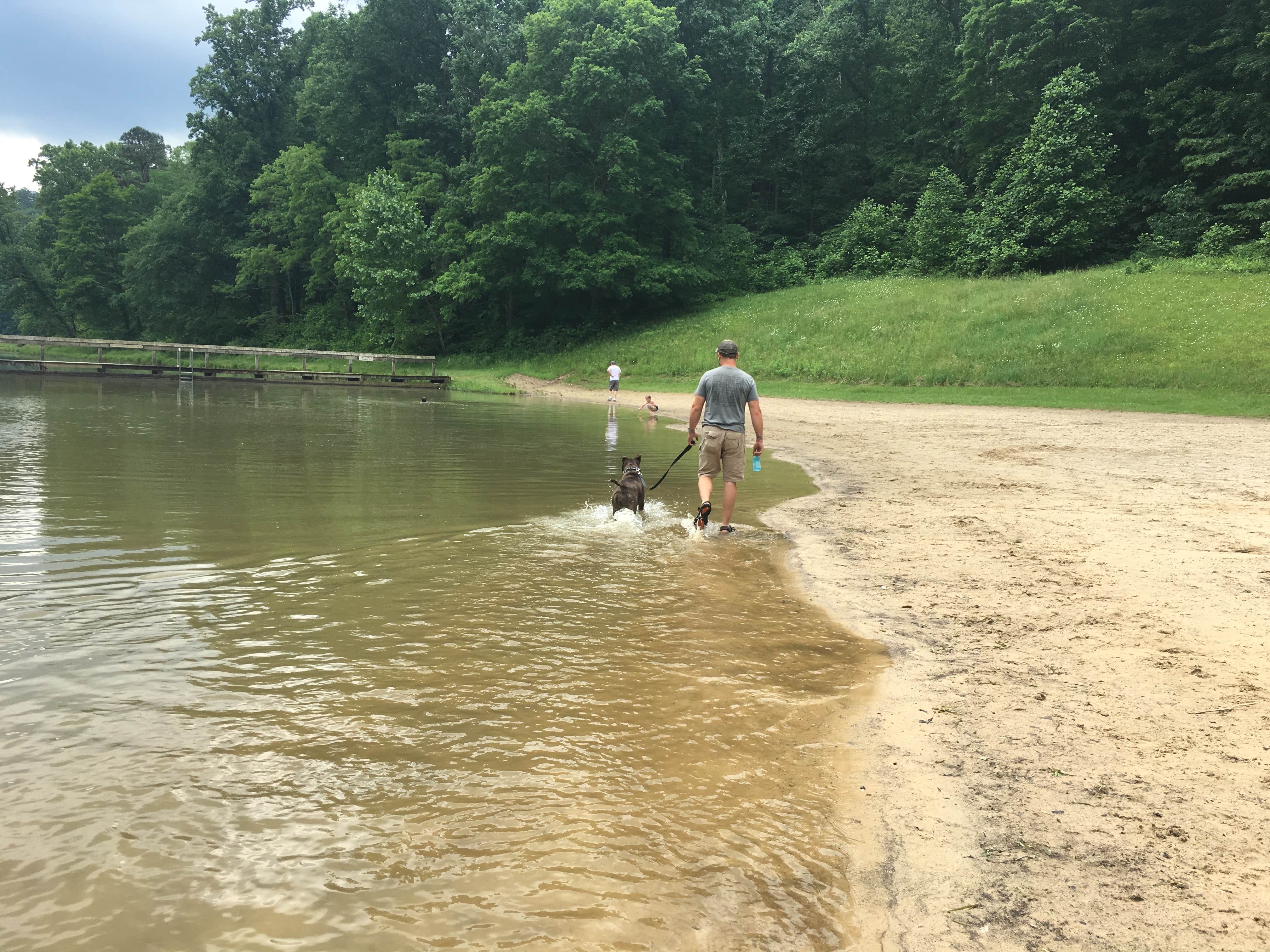 Camper-submitted photo at Tar Hollow State Park Campground near Lockbourne, OH