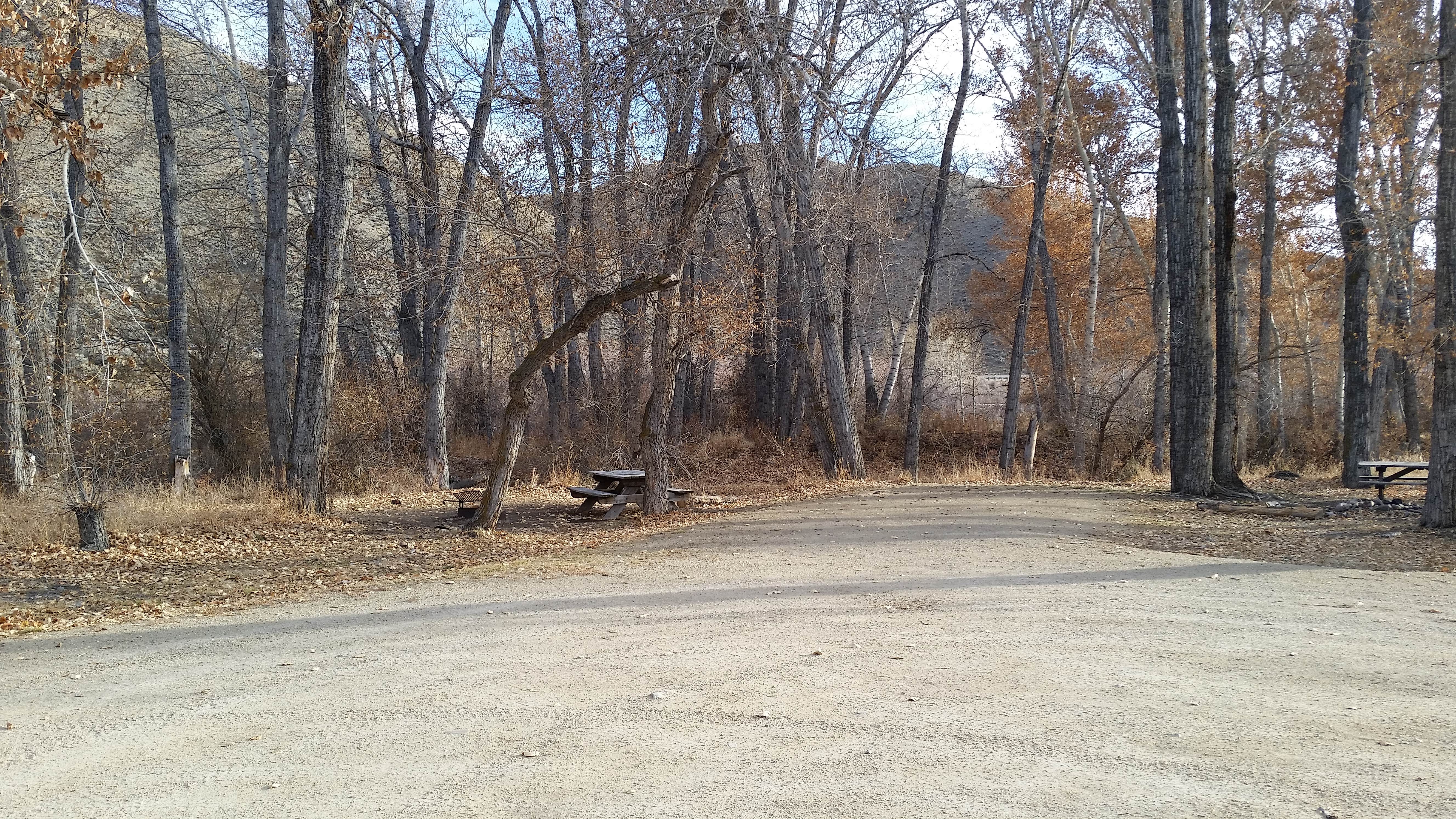 Camper-submitted photo at Brownes Bridge Fishing Access Site near Beaverhead-Deerlodge National Forest