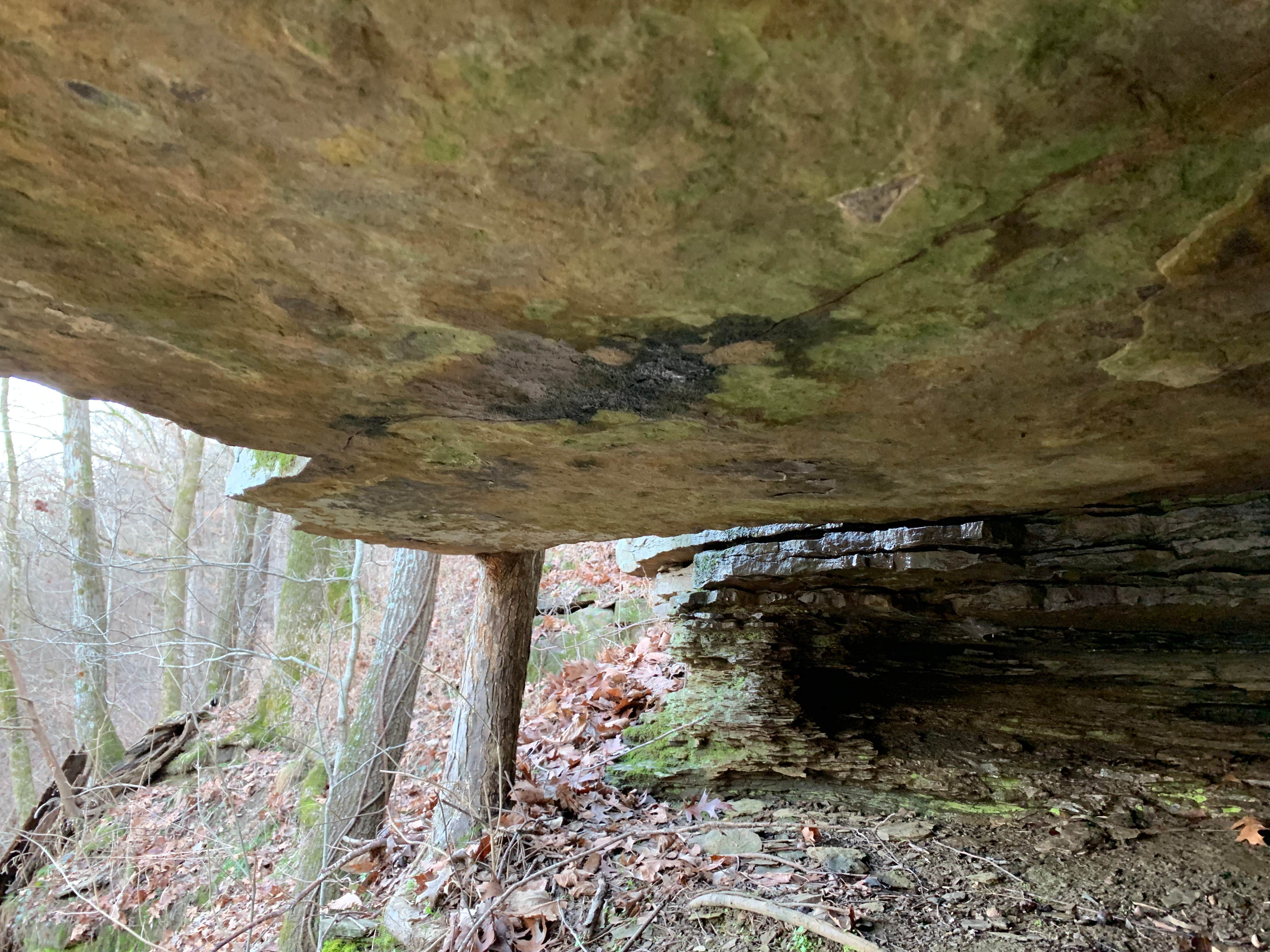 Camper-submitted photo at Mulberry River Outdoor Adventures near Chester, AR