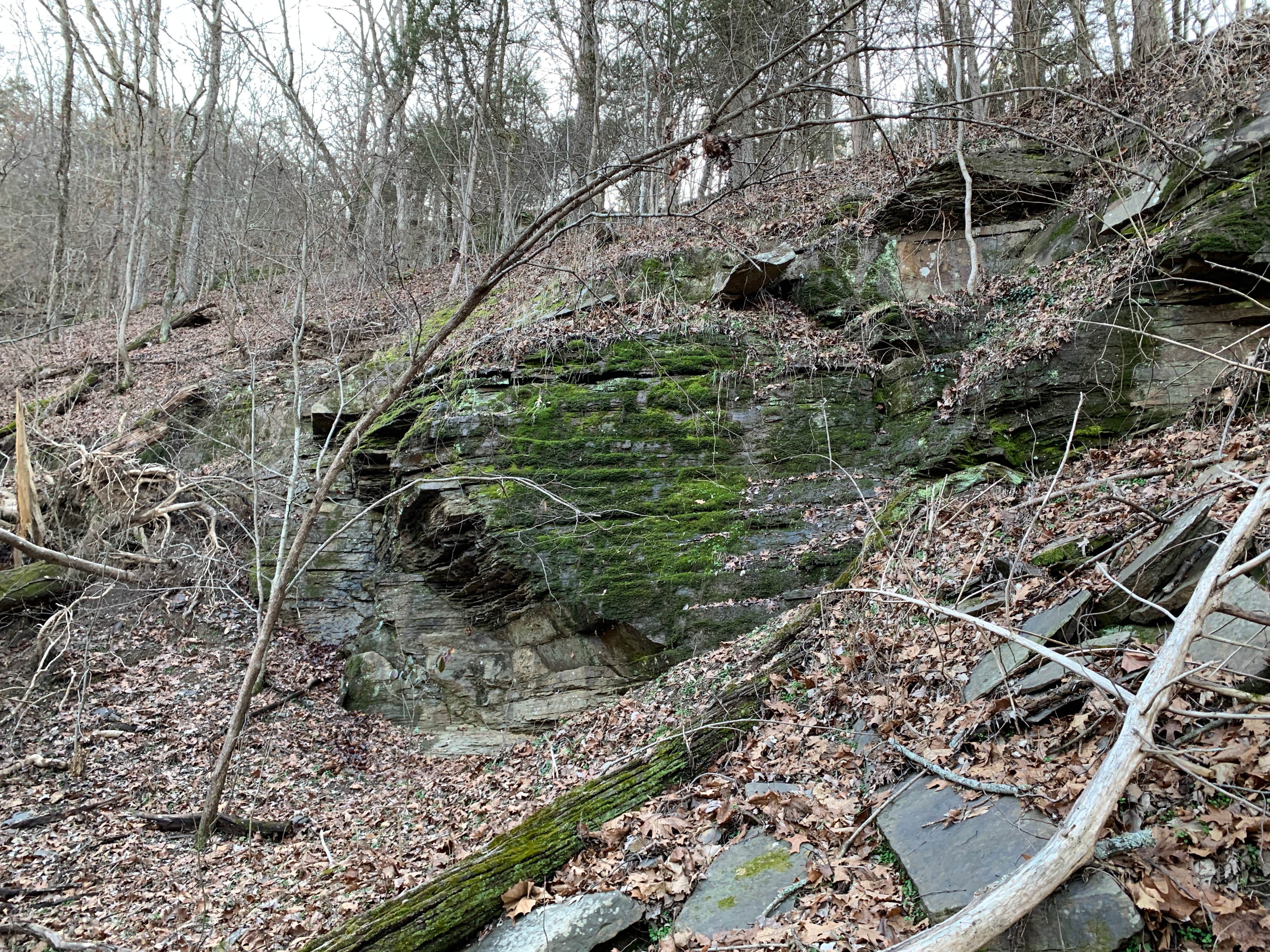 Camper-submitted photo at Mulberry River Outdoor Adventures near Chester, AR