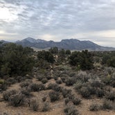 Review photo of Lovell Canyon Dispersed Camping (Spring Mountain) by Suzanne  Y., March 10, 2020