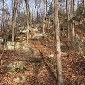 Review photo of Tishomingo State Park Campground by Cole R., March 10, 2020