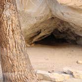 Review photo of Split Mountain Group Campground — Dinosaur National Monument by Virginia  A., March 10, 2020