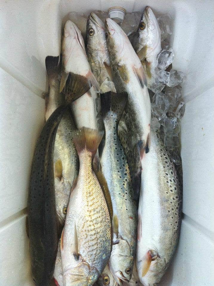 Camper-submitted photo at Trinity Bay RV Park & Lodging near Baytown, TX