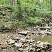 Review photo of Owens Creek Campground — Catoctin Mountain Park by Danielle J., March 11, 2020