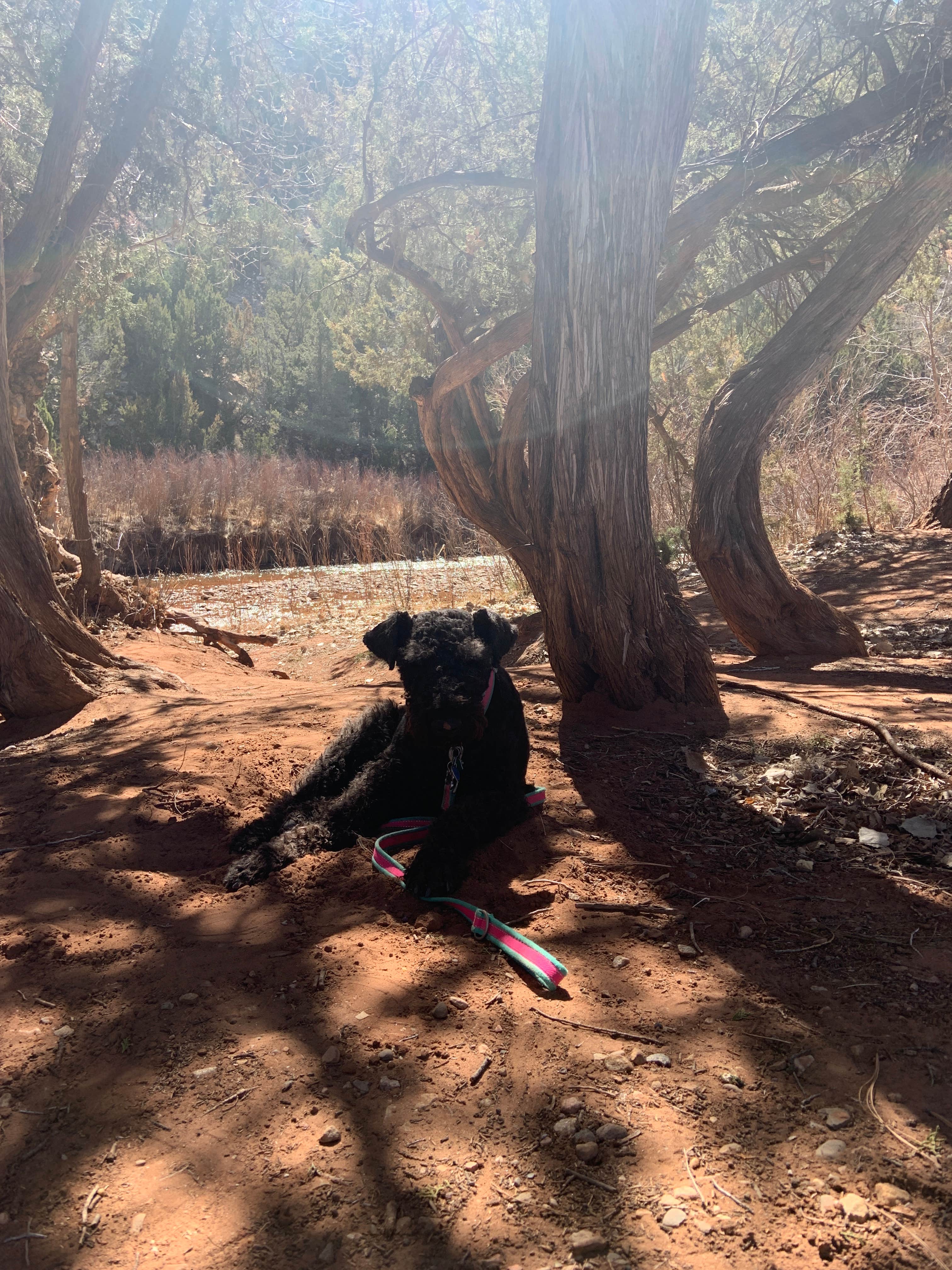 Camper-submitted photo at Villanueva State Park Campground near Las Vegas, NM