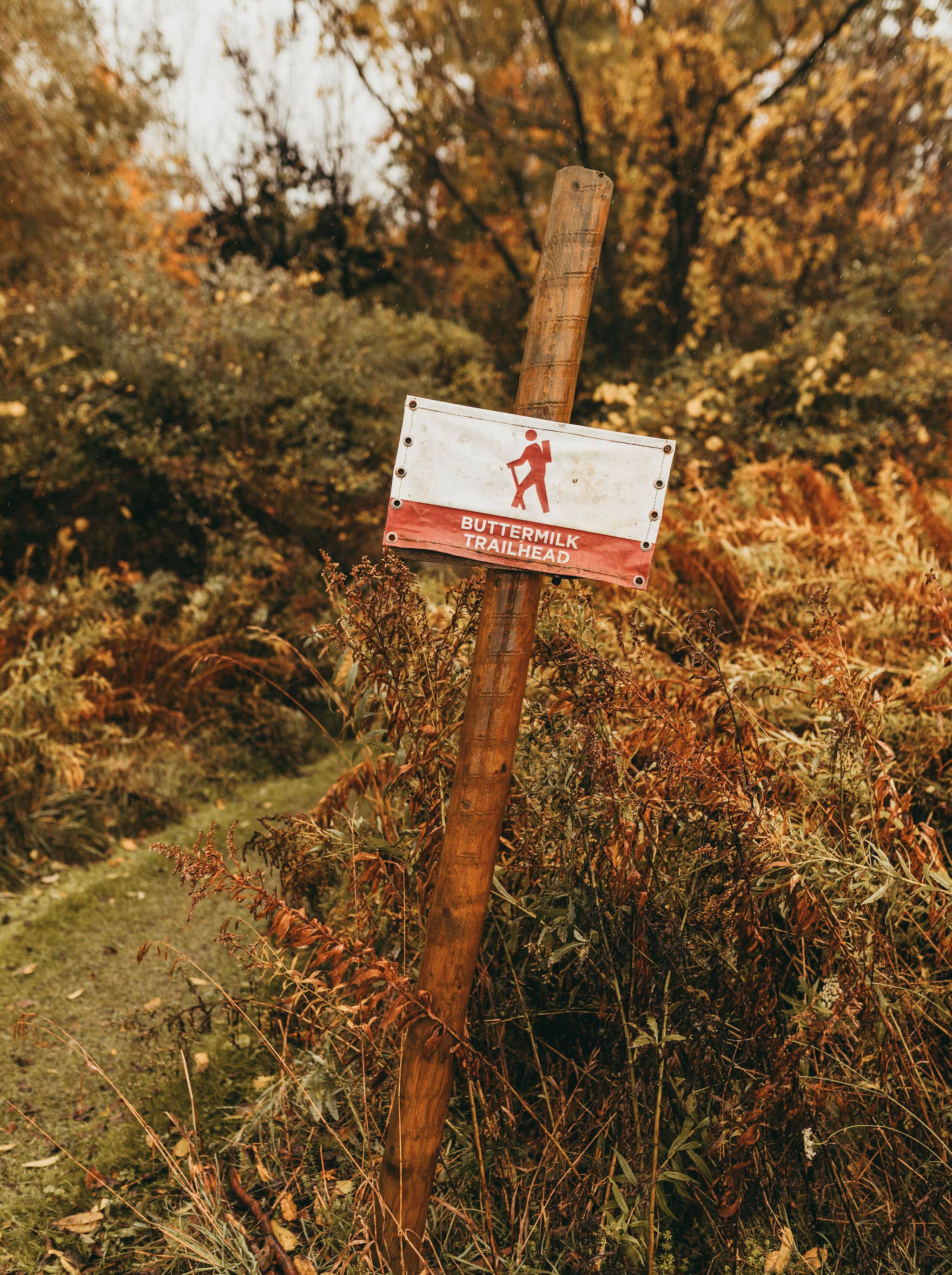 Camper-submitted photo at Firelight Camps near Brooktondale, NY