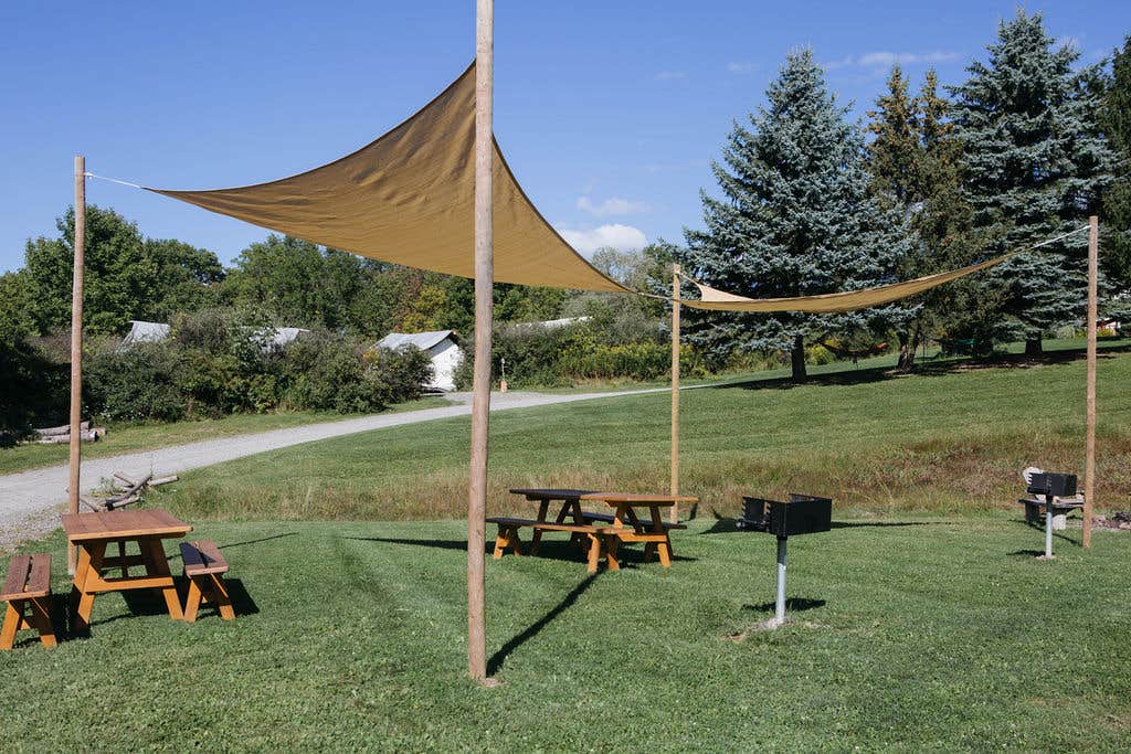 Camper-submitted photo at Firelight Camps near Brooktondale, NY