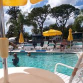 Review photo of Sun -N- Shade RV Resort by Dennis H., March 11, 2020