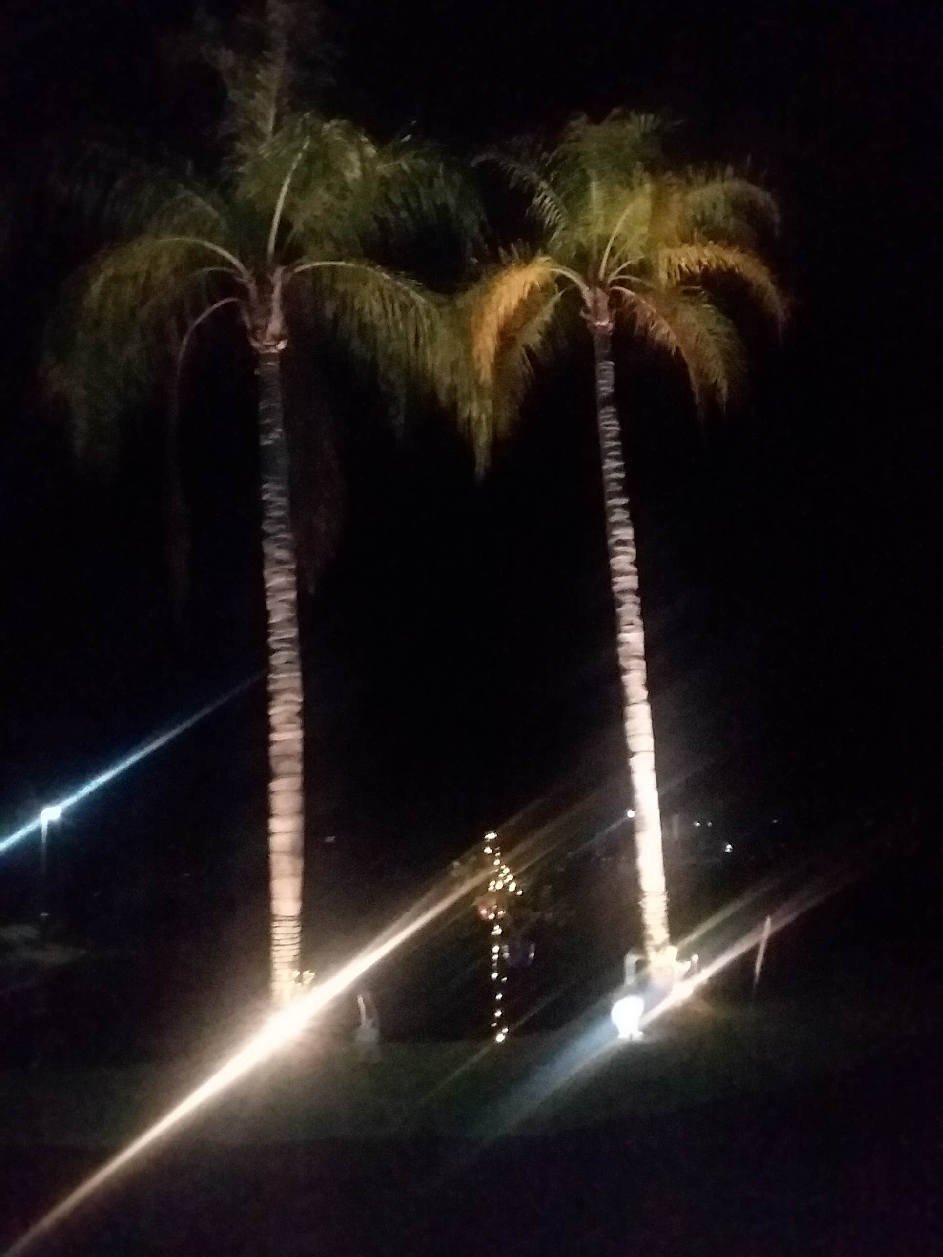 Camper-submitted photo at Sun -N- Shade RV Resort near North Fort Myers, FL