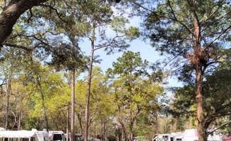 Robert M.'s photo of rv camping at Greenfields RV Campground near Cedar Key, FL