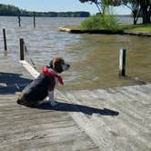Review photo of Thousand Trails Lake Gaston by Joe G., March 12, 2020