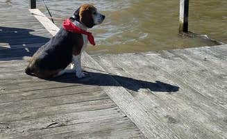 Joe G.'s photo of camping with pets at Thousand Trails Lake Gaston near Littleton, NC