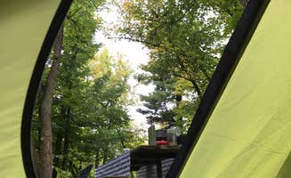 Joanna B.'s photo at Bear Paw Campground — Itasca State Park near Bagley, MN