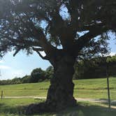 Review photo of Holiday Park Campground by James S., September 3, 2017