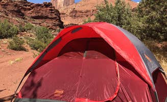Austin G.'s photo at Castleton Tower near Castle Valley, UT