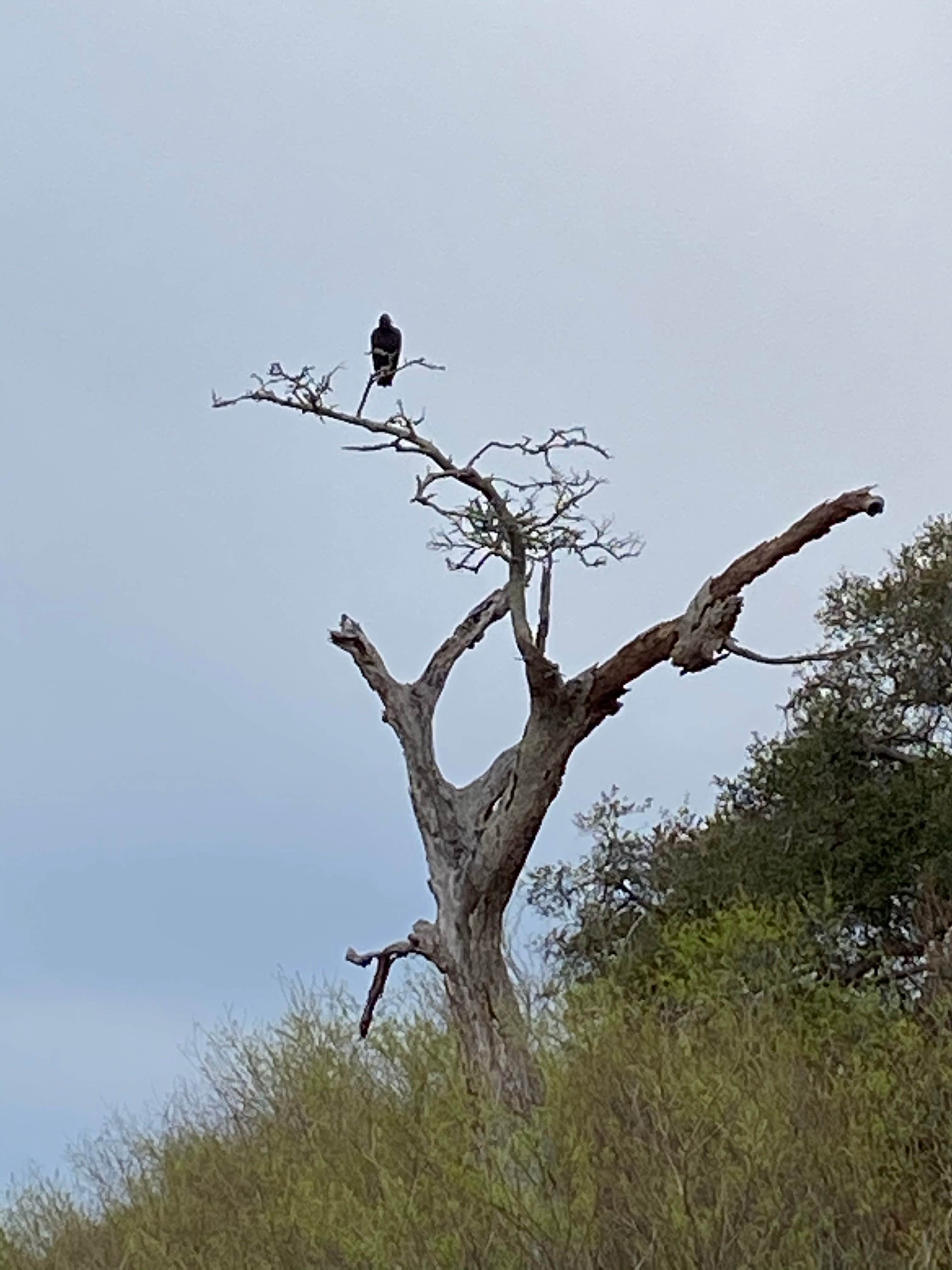 Camper-submitted photo at Texana Park & Campground near Edna, TX