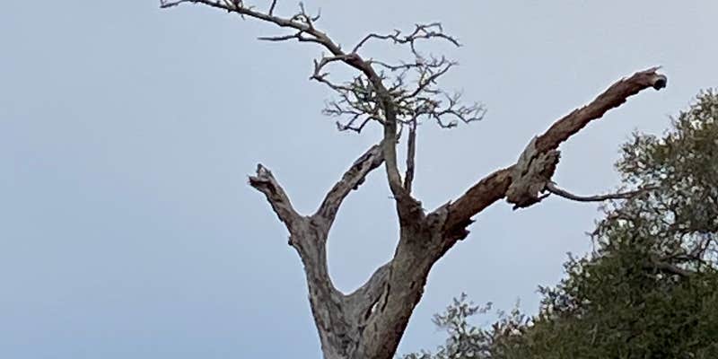 Camper submitted image from Texana Park & Campground