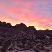 Review photo of Indian Cove Campground — Joshua Tree National Park by Kayla H., March 13, 2020