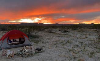 Kayla H.'s photo at Sheephole Valley Wilderness near Amboy, CA