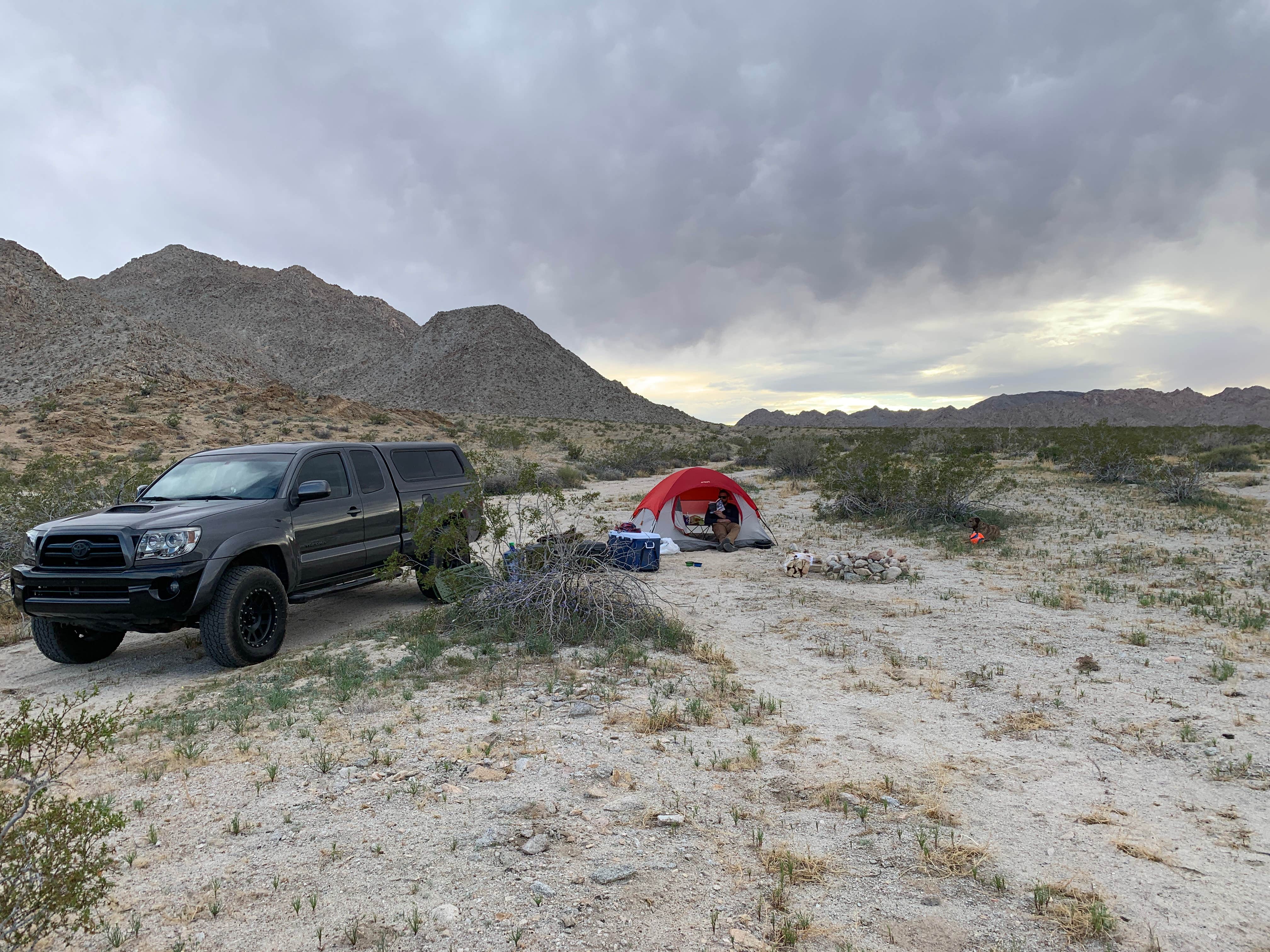 Camper submitted image from Sheephole Valley Wilderness - 5