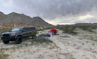 Kayla H.'s photo of a dispersed camping area at Sheephole Valley Wilderness near Joshua Tree National Park