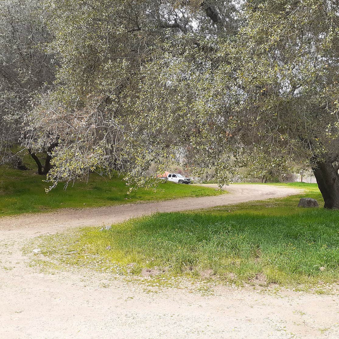 Mill Flat Campground | Squaw Valley, CA